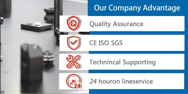 Chinese CNC Lathe Metal Turning CNC Lathe Slant Bed CNC Lathe with Fanuc or Syntec Control